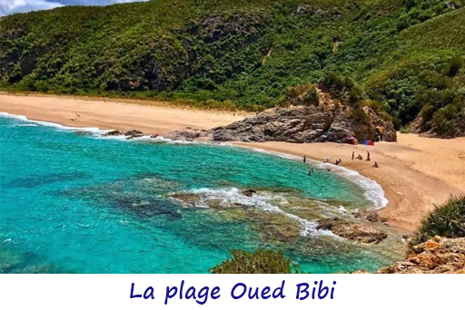 La plage Oued Bibi.jpg